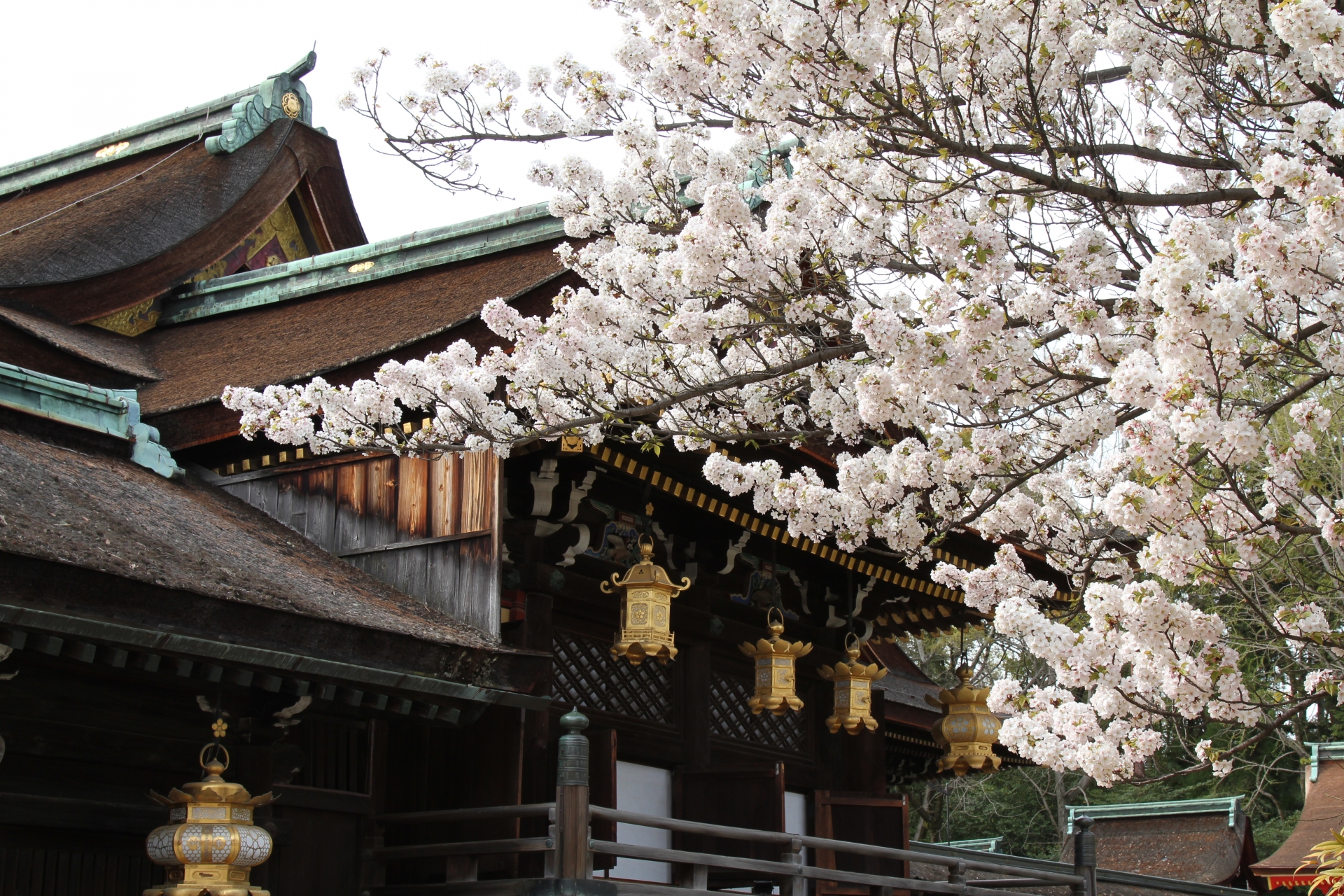 Stay SAKURA 京都 龍