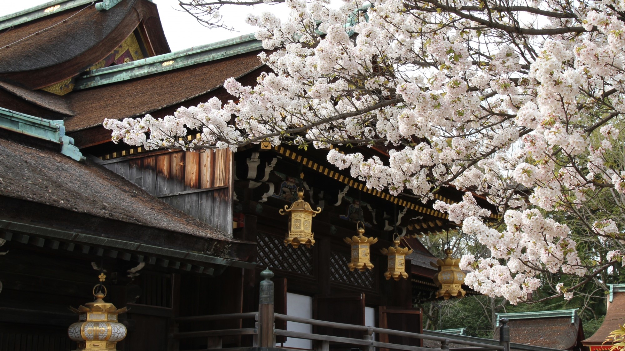 Stay SAKURA(ステイサクラ)京都 東本願寺I(ホテルID 172099)