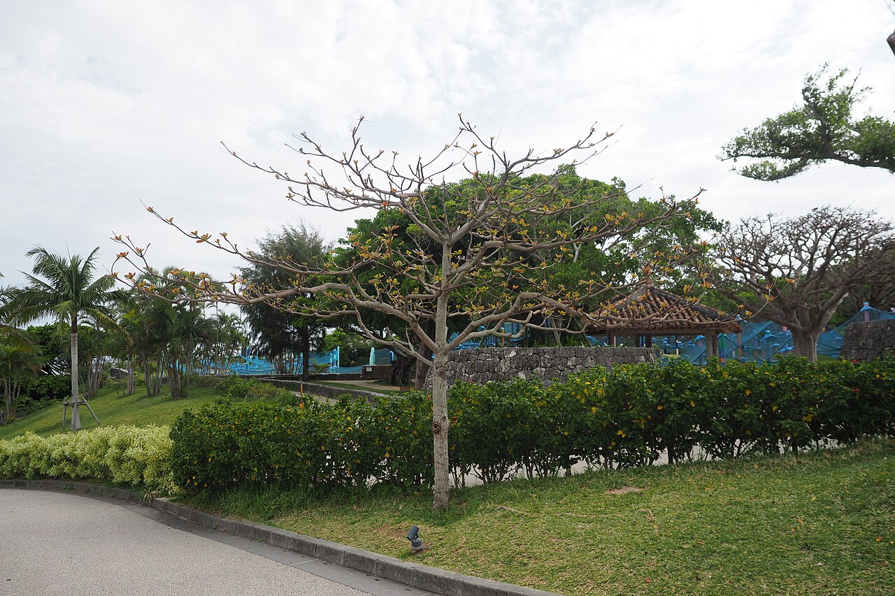 海洋博公園 (33856654642).jpg