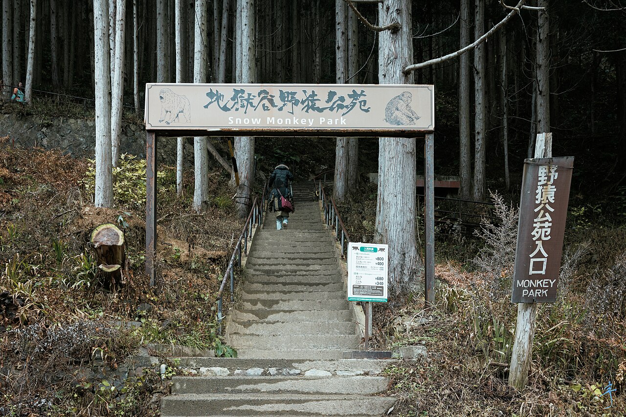 地獄谷野猿公苑 (52639494519).jpg