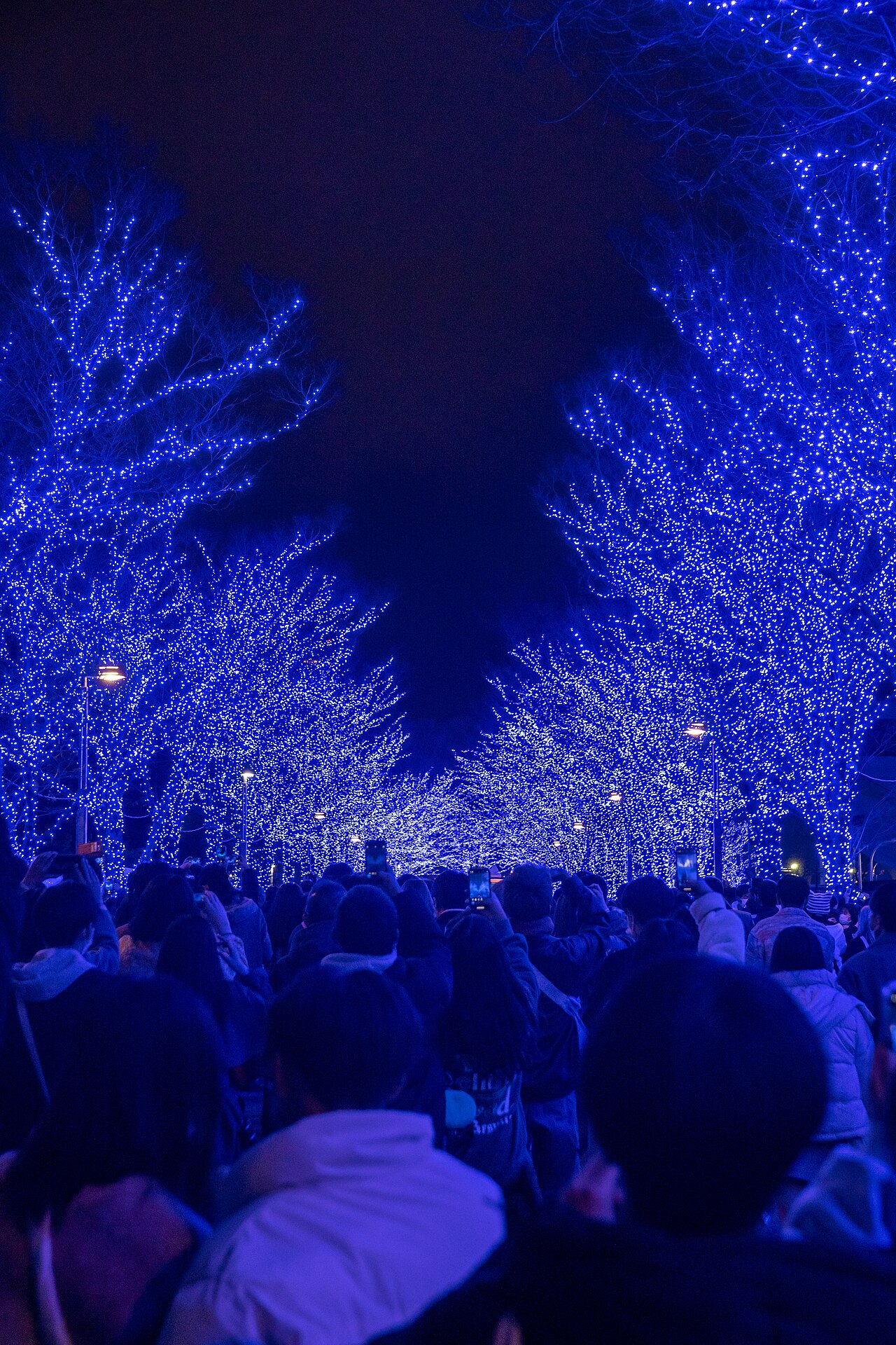 Blue Cave SHIBUYA (52652881948).jpg
